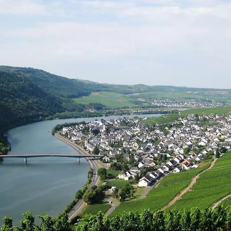 Guest house Gaestehaus Am Rebenhang Mehring (Rhineland-Palatinate)