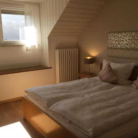 Pensionat Gaestehaus Am Rebenhang 3*