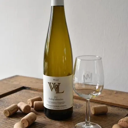 Gaestehaus Am Rebenhang Guest house 3*