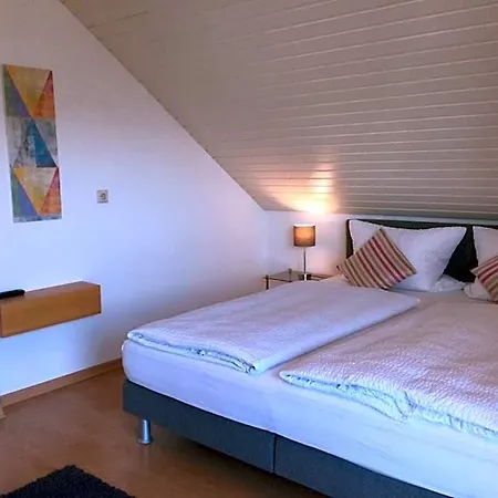 Gaestehaus Am Rebenhang Mehring (Rhineland-Palatinate)