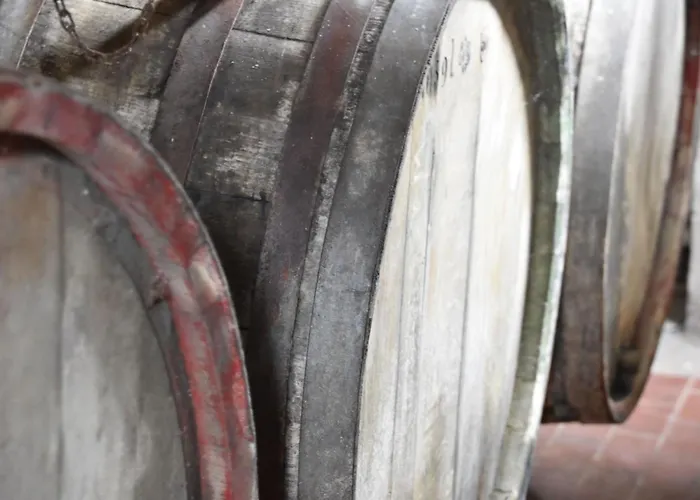 Guest house Gaestehaus Am Rebenhang