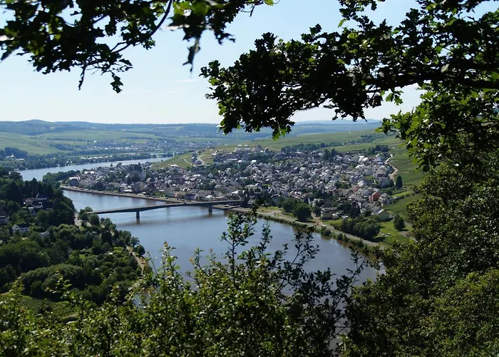 Pensionat Gaestehaus Am Rebenhang Mehring (Rhineland-Palatinate)