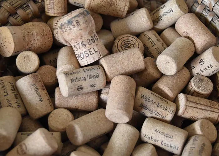 Gaestehaus Am Rebenhang Guest house 3*