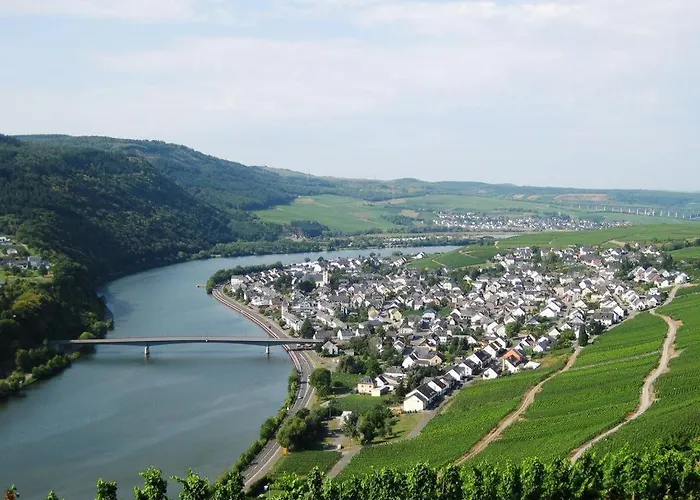 Guest house Gaestehaus Am Rebenhang Mehring (Rhineland-Palatinate)